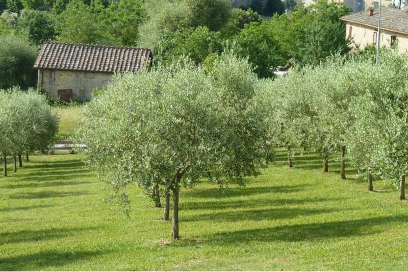 Sangallo Park Hotel Siena Esterno foto