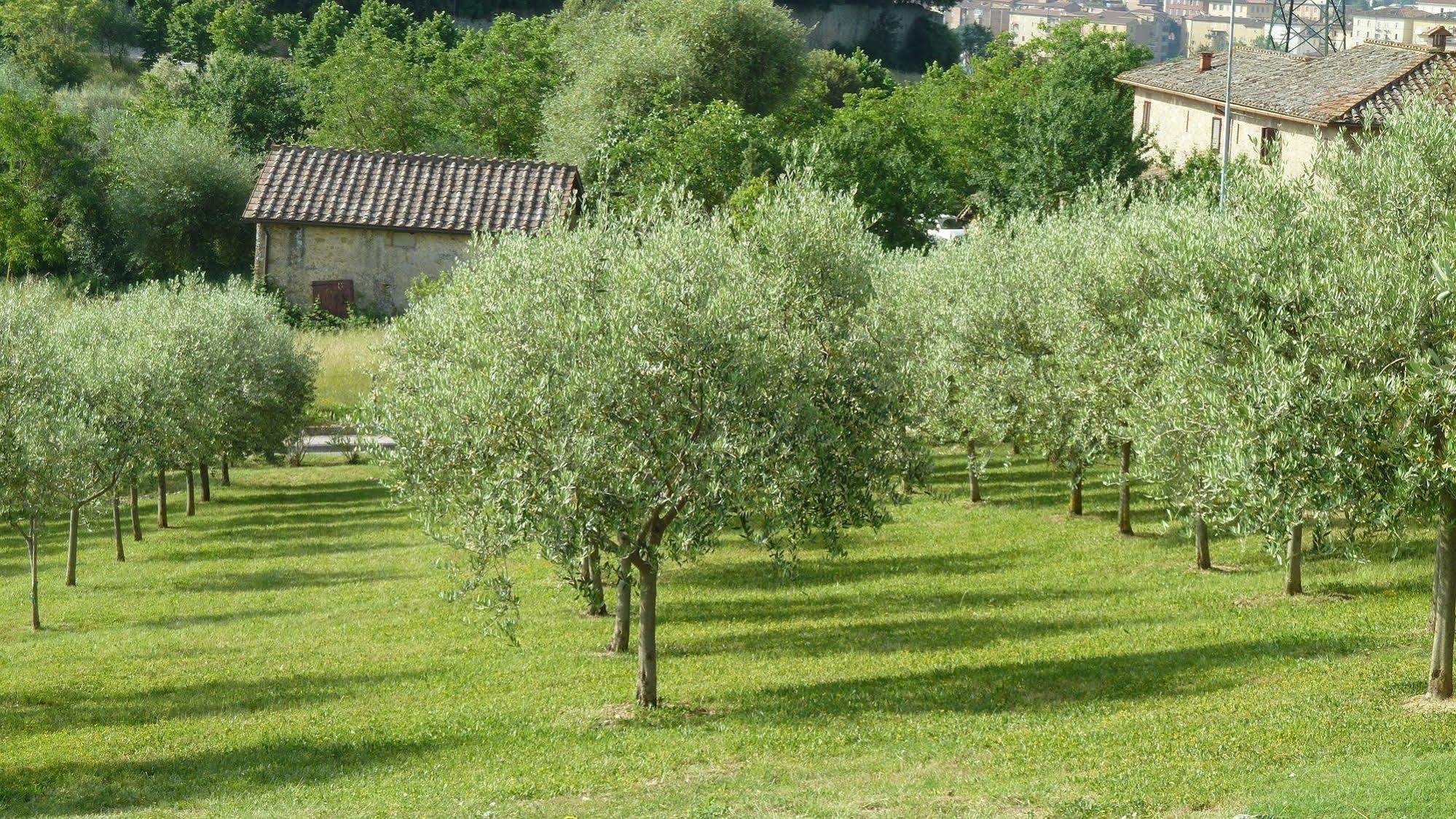 Sangallo Park Hotel Siena Esterno foto